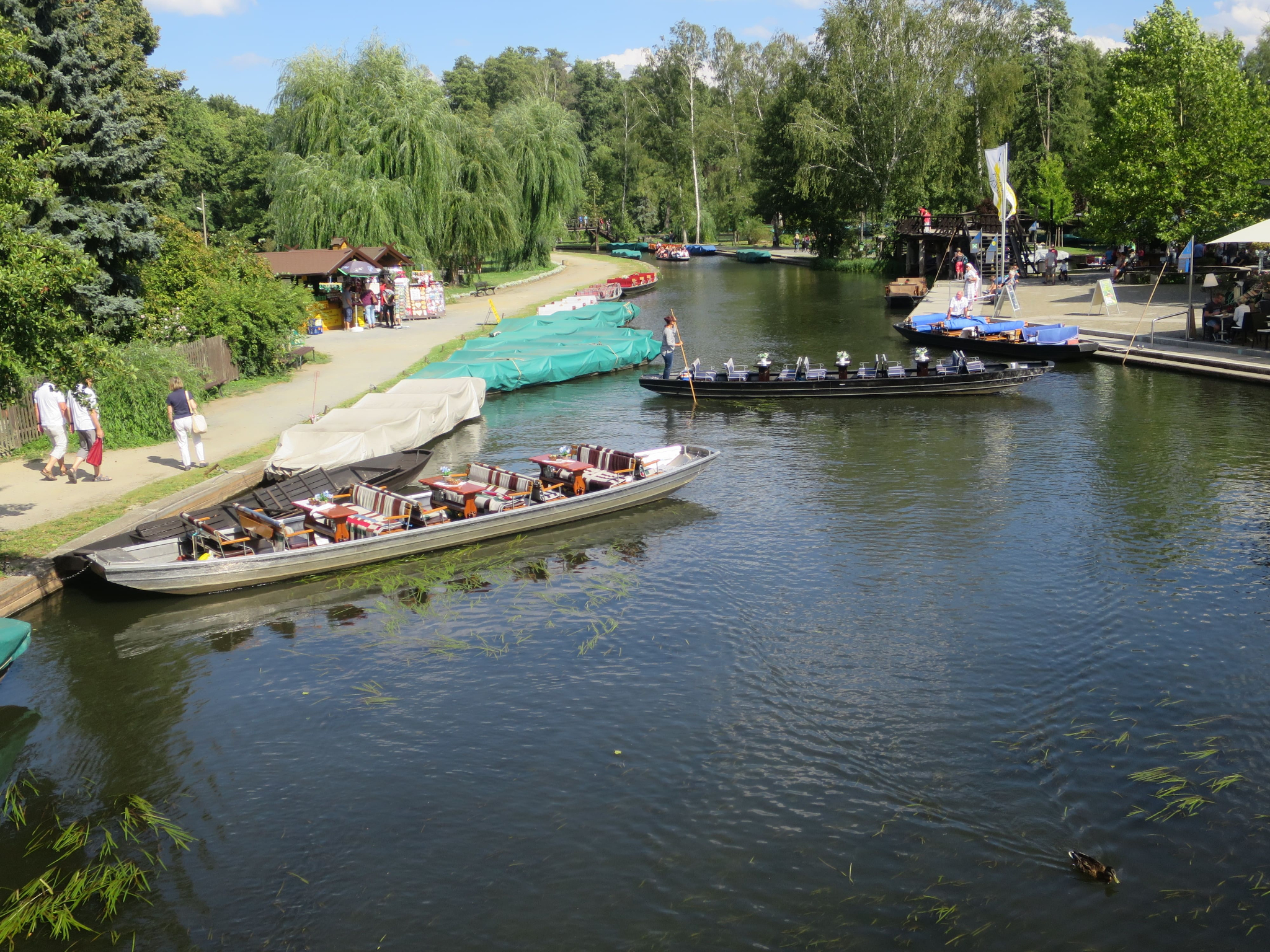 im schönen Spreewald